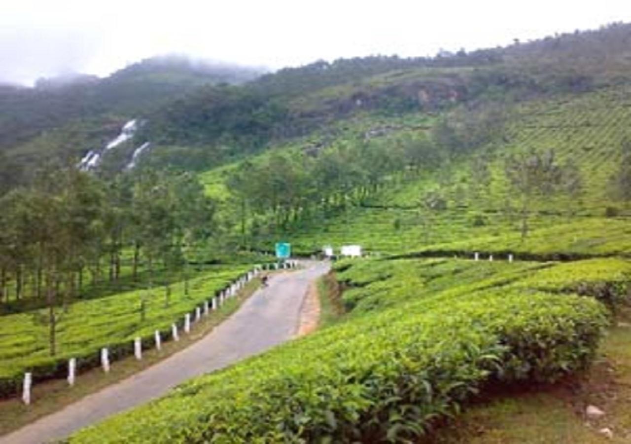 Uttarakhand Resort Kausani Exteriér fotografie
