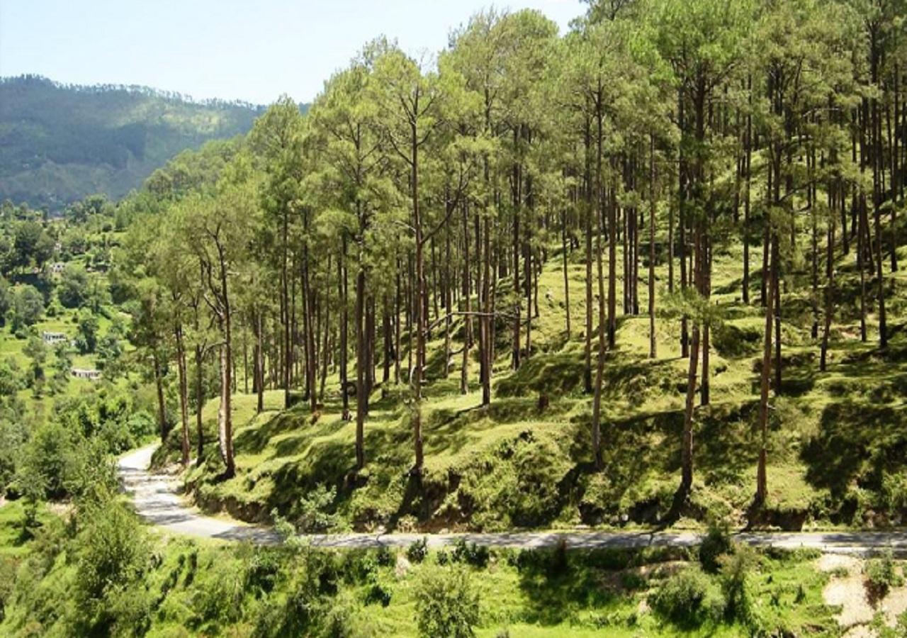 Uttarakhand Resort Kausani Exteriér fotografie